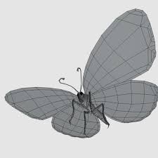 Butterfly 2 Butterfly Buy Butterflies 3d Design