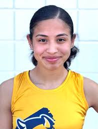 All-Area winter track capsules