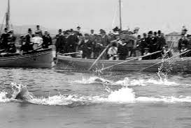 The 1896 summer olympics (greek: Nuoto Ai Giochi Della I Olimpiade Wikipedia
