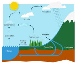 Ks3 Geography The Water Cycle And River Terminology Revision 1 Nutrient Cycle Water Cycle Water Activities
