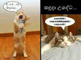 Sinhala funny photos brand new sinhala jokes 1090129 hd source : Pin By Samitha Madushan On Jokes Sinhala Baby Jokes Jokes Photos Crazy Funny Memes