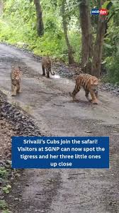 Borivali National Park Wildlife