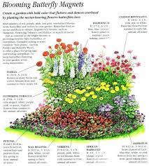 Zone 8 Blumen Zone 3 Garten Plant Elegante Besten Ideen Uber Prariegarten Auf Butterfly Garden Design Butterfly Garden Butterfly Garden Plants