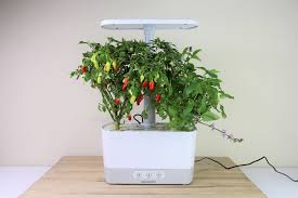 My first aerogarden tomatoes were spectacular failures. Aerogarden Harvest Review 2020 Setup Grow Results Pepper Geek