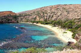 Snorkel at hanauma bay nature preserve. Hanauma Bay Snorkeling