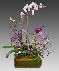 Fromyouflowers.com has been visited by 10k+ users in the past month Blooming Orchids Basket Floral Arrangements French Florist Los Angeles California 90035