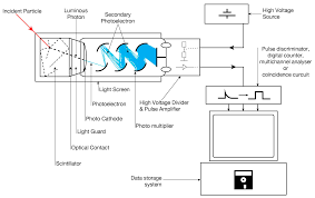 · detector & nuclear electronics; Micromachines Free Full Text Vertical Gan On Gan Schottky Diodes As A Particle Radiation Sensors Html