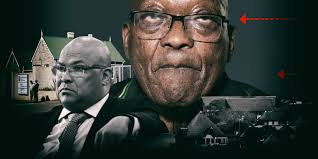 Arthur Fraser 'erred spectacularly' in granting Zuma medical parole