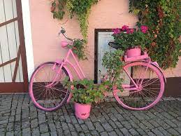 This plastic girls bike basket may be cheap, but it's actually a pretty solid little container. Pink Bike Bicycle Sport Girl Cyclist Leisure Basket Outdoor Ride Flowers Pikist