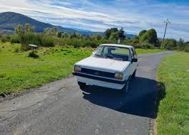Image result for Light Green 1980 Fiesta