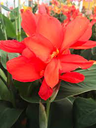 Blog Dambly S Garden Center Berlin Garden Center Lawn Care
