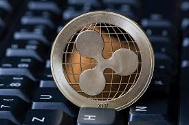 Securities and exchange commission lawsuit against ripple. Ripple Number Of Xrp Whales Reaches All Time High Before Spark Airdrop