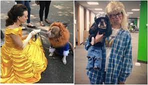 15 Creative Matching Dog And Owner Costumes For Halloween 2021 Matching Halloween Costumes Dog And Owner Costumes Dog Halloween Costumes