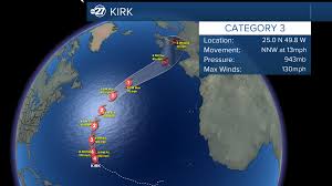 Image result for Tragia kirkiana