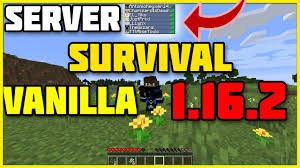 Find best minecraft 1.17 servers in the world for pc or pe and vote for your favourite. Mejor Servidor Survival Vanilla Full 1 16 2 Minecraft Server Survival 1 16 2 Review Youtube