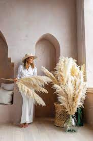Dried Pampas Grass Reed Plume Single Stem 140 Cm 6 Colours Etsy Pampas Grass Decor Plant Decor Grass Decor