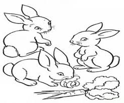 Ausmalbilder Hasenbabys Kostenlose Ausmalbilder Ausmalbilder Ausmalbild Hase
