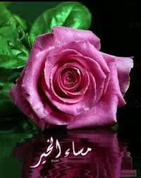 ونظل نرسل ورود المساء لكل قلب جميل حمل لنا بعض من الحب مساء الورد مساءات christmas morning quotes good evening greetings evening greetings