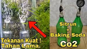 Saat menata tanaman berjenis bonsai atau lainnya, jangan lupa pasang sekalian semua alat penunjang keindahan aquascape. Cara Membuat Co2 Untuk Aquascape Youtube
