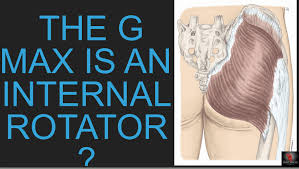 Maybe you would like to learn more about one of these? The Gait Guys