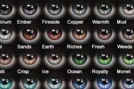 Pin By Diane Burnett On My Pins In 2020 Eye Color Chart Eye Color Beautiful Eyeshadow