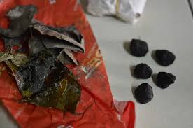 Image result for Cathormion altissimum