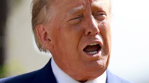 Donald Trump And Marla Maples Appear Friendly At Tiffany Trump's Wedding