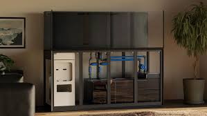 Image result for Eriocaulon bongense