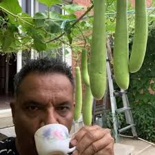 Hello Friends! My son Brendan Pruner has recently graduated from university  with a degree in commerce and an advanced diploma in Biomedical Engineering  Technology. He has excellent…