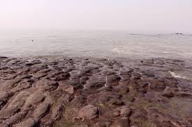Couples Bandstand Beach Located ...