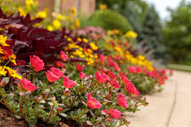 Coarse sand, also known as yellow sand or builder's sand, allows water to gather in pockets to feed roots as they search for nutrients in the soil. The Dirt On Dirt Sand Proven Winners