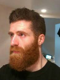 Beards Men Two Tone Red Beard Beard Hairstyle Beard