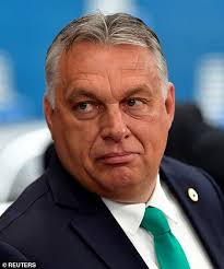 Plans for a lakeside development show how hungary's leader enriches those who stand behind him. Hungary Mep Orgy Viktor Orban Condemns Unacceptable And Indefensible Deeds Daily Mail Online