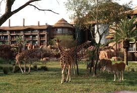 Disney Resort Hotels Disney S Animal Kingdom Lodge Giraffes On The Savanna Walt Disn Disney Animal Kingdom Lodge Disney Resort Hotels Animal Kingdom Disney