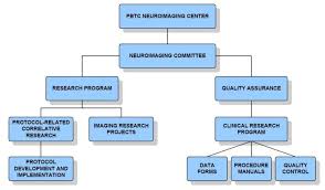 nic organization boston childrens hospital