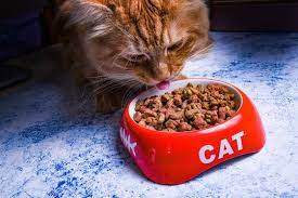 Dry Cat Food In A Red Bowl With The Inscription Cat Cat Eats Dry Food From A Bowl Ad Food Cat Dry Red Eats Dry Cat Food Red Bowl Cat Food