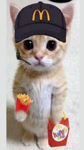 Mcdonalds cat wallpaper by Fluffywolfash