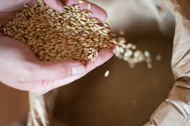 Here is a list of those available, worldwide. Can Non Alcoholic Beer Be Gluten Free