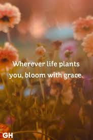 35 Life Quotes That Ll Motivate You To Be Bold Insightful Quotes Funny Inspirational Life Quotes Inspiring Quotes About Life