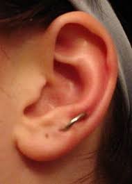Nice Orbital Piercing Picture Orbital Piercing Body Piercings Piercing