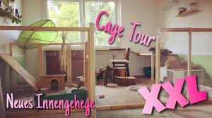 Wie sieht das perfekte kaninchengehege in der wohnung aus? Neues Xxl Innengehege Fur Kaninchen Cage Tour Youtube