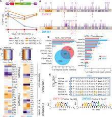 641 din 22 august 2016. Primate Restricted Krab Zinc Finger Proteins And Target Retrotransposons Control Gene Expression In Human Neurons Science Advances