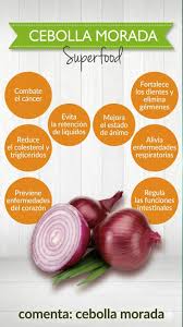 La cebolla morada es un alimento natural con múltiples beneficios para la  salud. En esta imagen te mostramos cómo puede ayudar a fortalecer los  dientes, mejorar el estado de ánimo, regular las ...