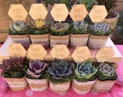 Succulent Favors Etsy