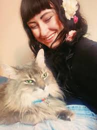 He follows me around the entire house just so he can try and murder the mop 