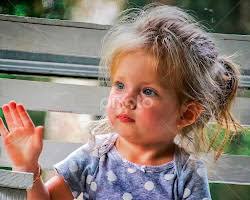 Stock Image Search Results