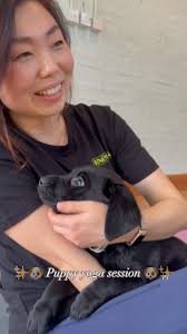 Very essential 🙊, #puppyyoga #Leicester #Norwich #Peterborough