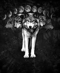 Snarling Wolf Tumblr Wolf Spirit Animal Wolf Spirit Wolf Moon