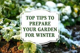 Free shipping on qualified orders. Preparing Your Garden For Winter 10 Tips For Winter Protection The Old Farmer S Almanac