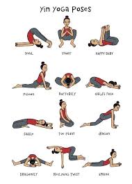 This Could Be A Handy Reference For Your Yoga Practice Or A Great Gift For A Yog Yin Yoga Sequence Yoga Poses Chart Yin Yoga Poses Types Of Yoga